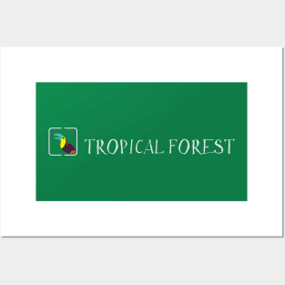 Tropical forest Posters and Art